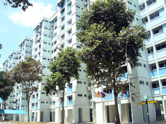 Woodlands Street 82 thumbnail photo